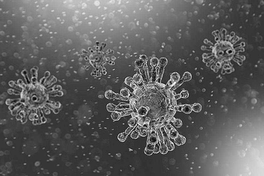 Representation of Coronavirus COVID 19